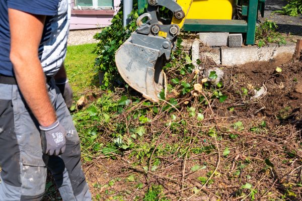 Hedge Removal Service in Winston Salem