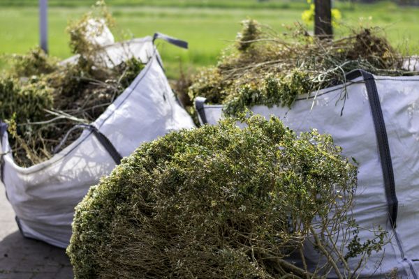 Cost of Shrubs Removal in Winston Salem