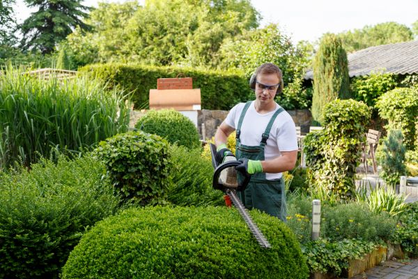 Shrubs Trimming in Winston Salem