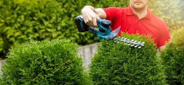 Hedge Shaping Service in Winston Salem