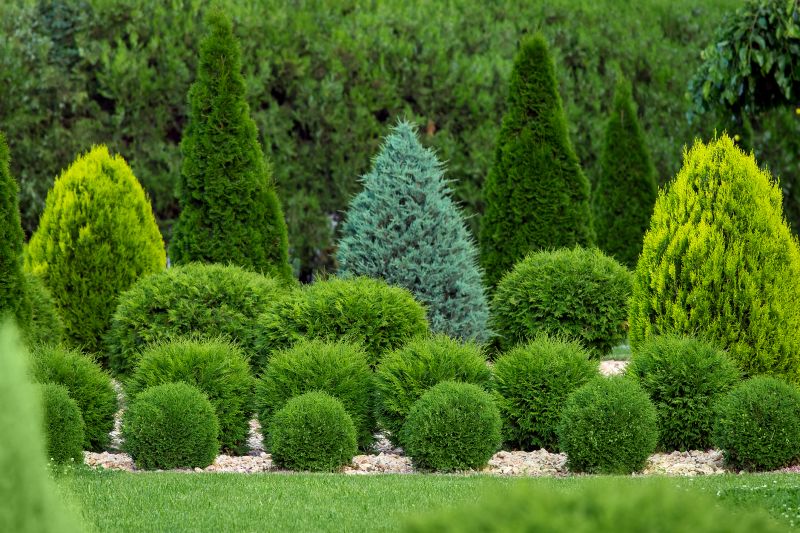 Bushes with Symmetrical Shapes