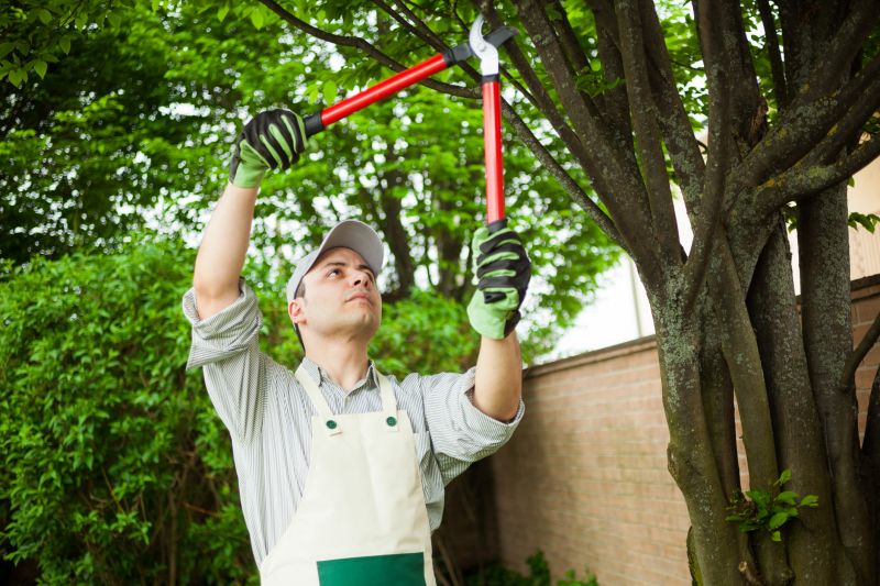 Garden care consultation